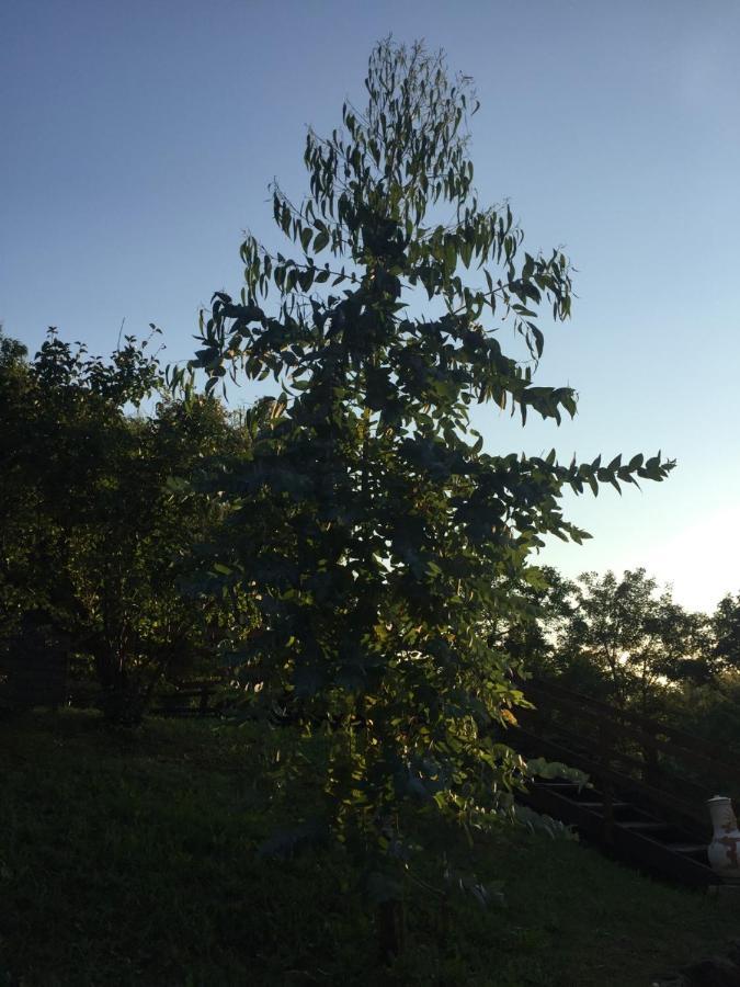 Au Son De L Angelus Bed & Breakfast Moncrabeau Екстериор снимка